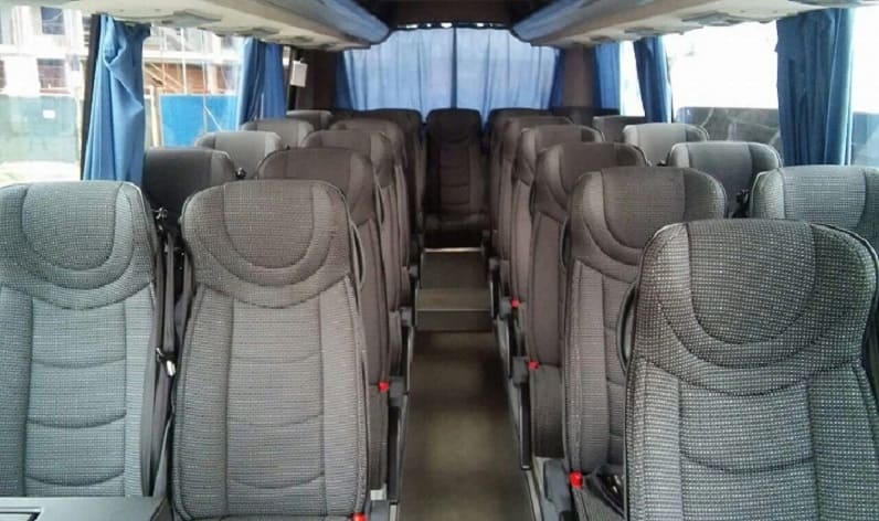 Germany: Coach hire in Saxony in Saxony and Freital
